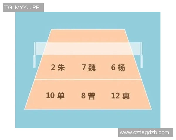 南京排球队在精英赛中的灵活性表现分析与战术探讨